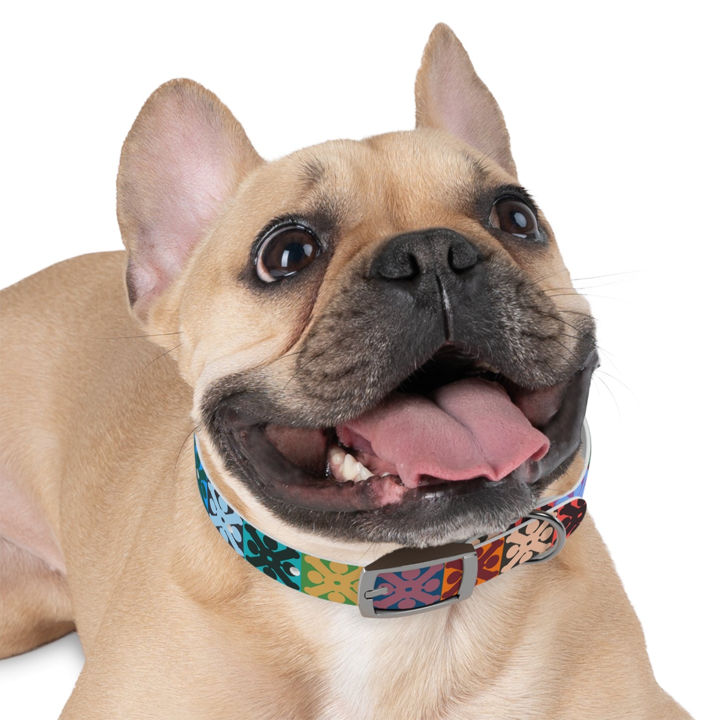 Hawaiian Quilt Inspired Dog Collar
