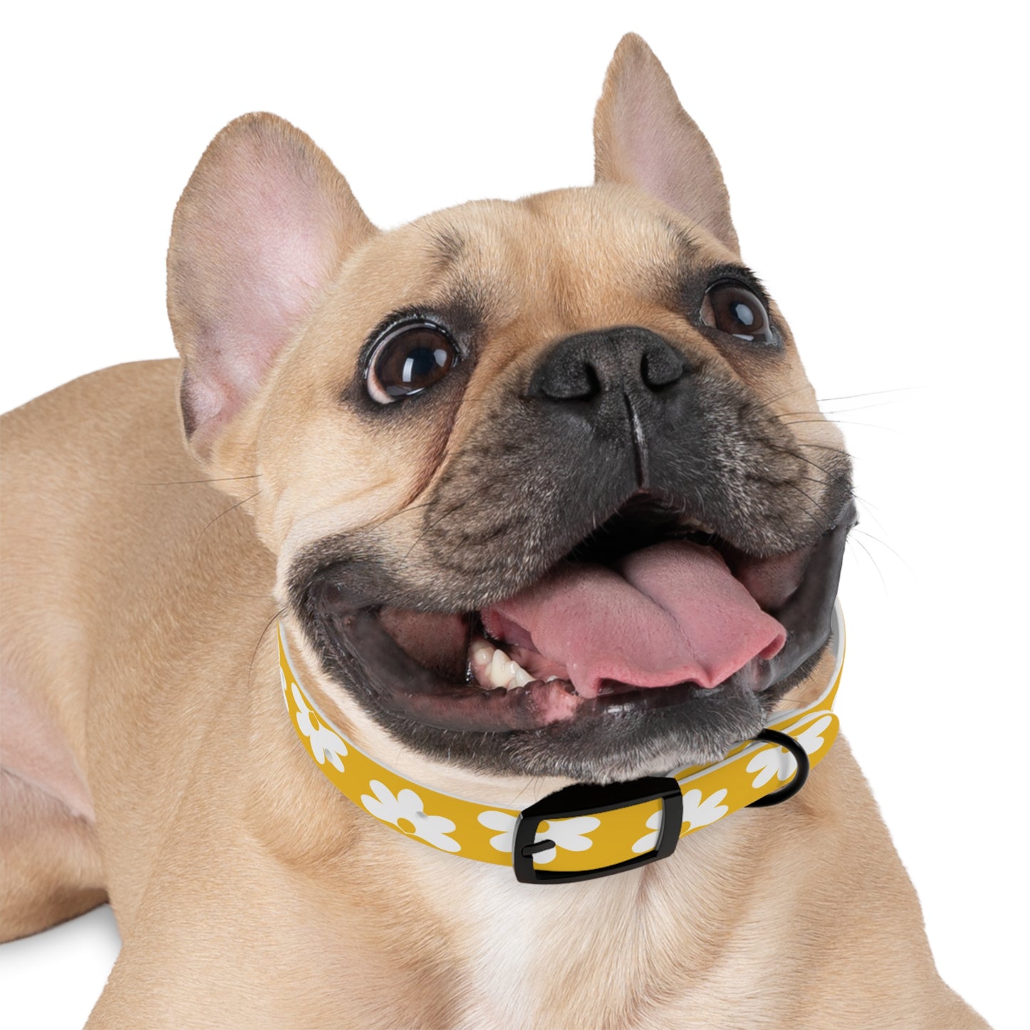 Naupaka Dog Collar