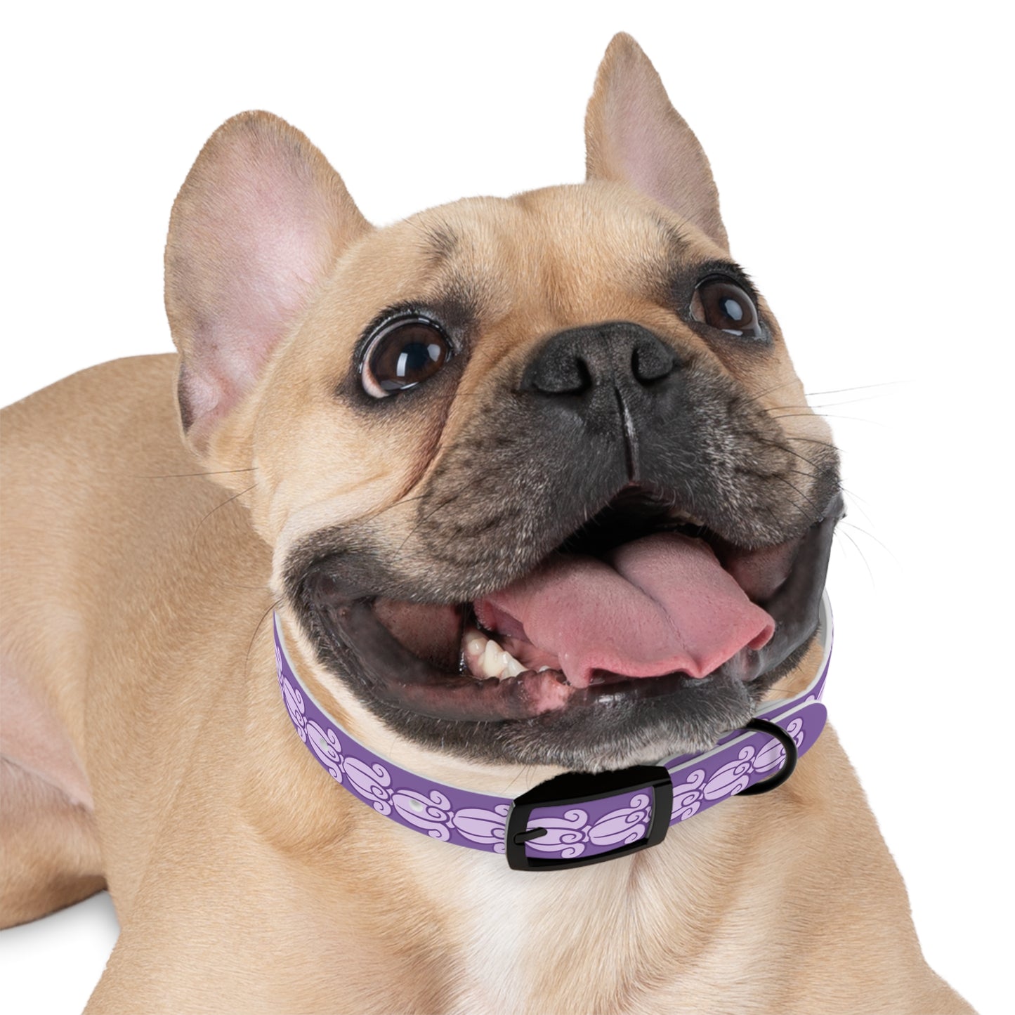 Crown Flower Lei - Dog Collar