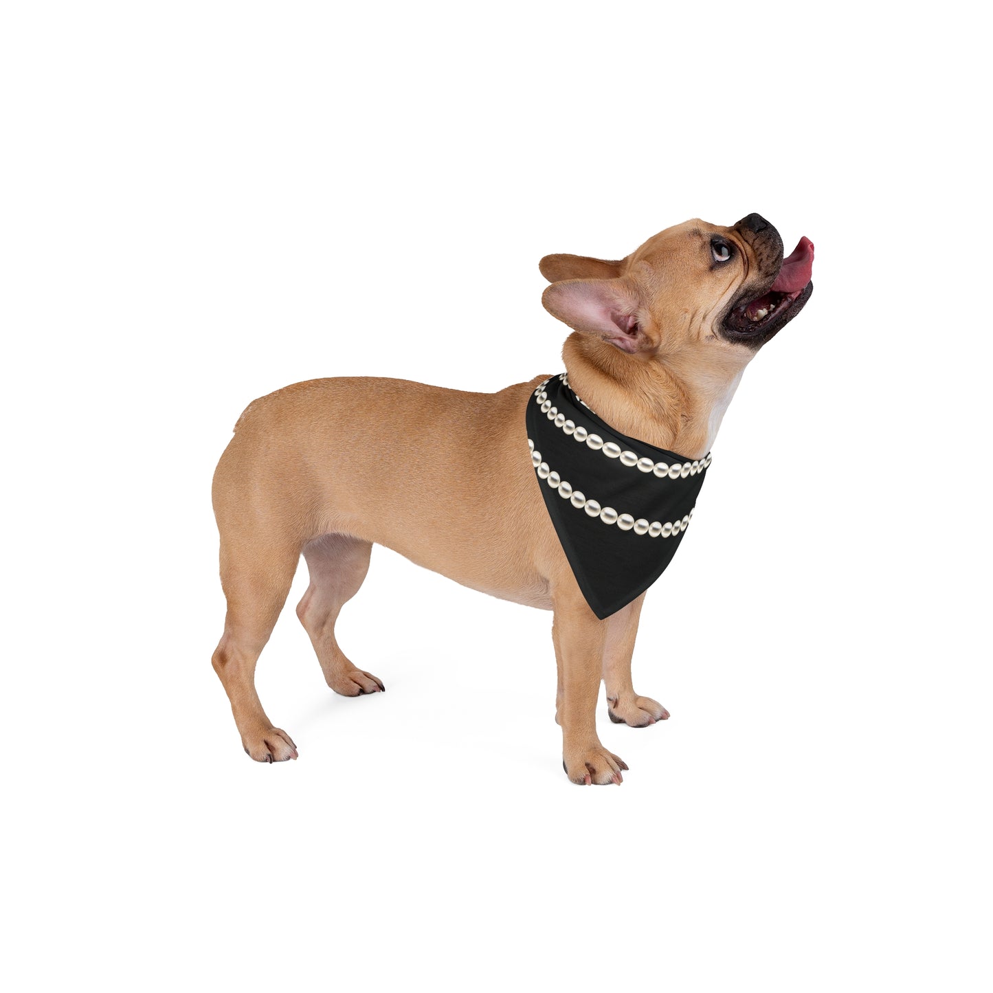 Pearl Necklace - Dog Bandana