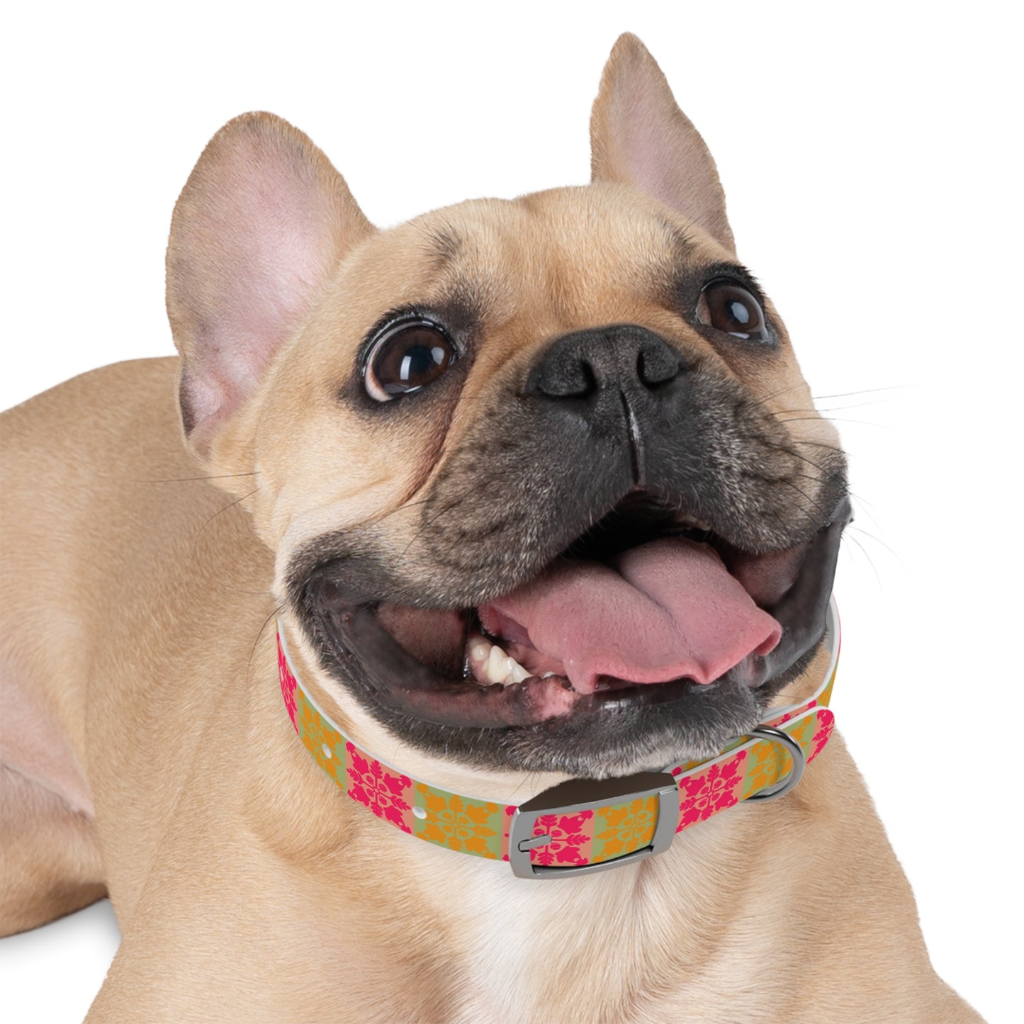 Heart and Fern Dog Collar – Modern Hawaiian Quilt Design