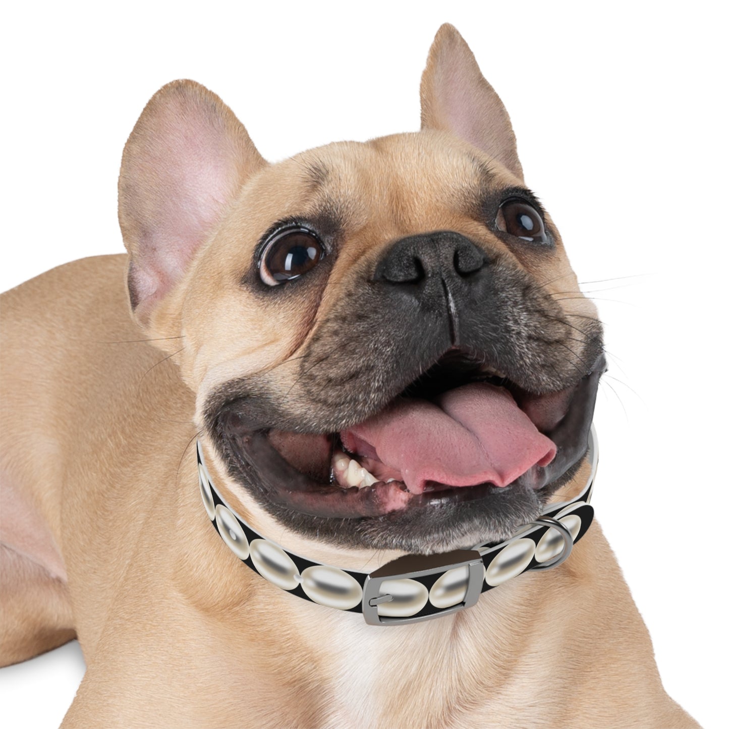 Pearl Necklace - Dog Collar