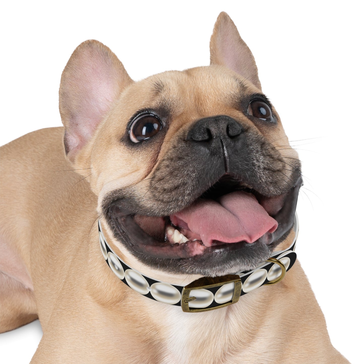 Pearl Necklace - Dog Collar