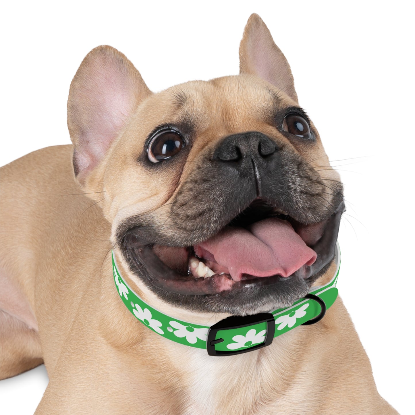 Naupaka Dog Collar - Green