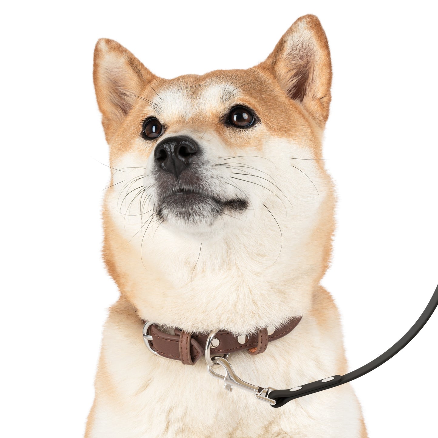 Hawaiian Quilt Inspired Dog Leash