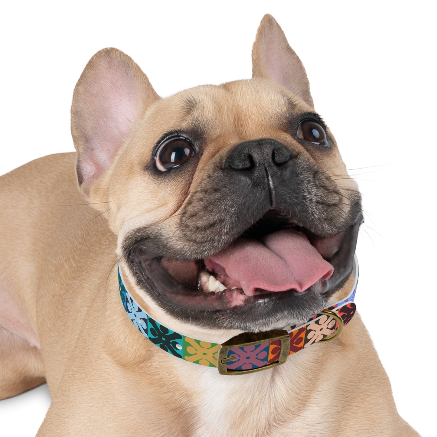 Hawaiian Quilt Inspired Dog Collar