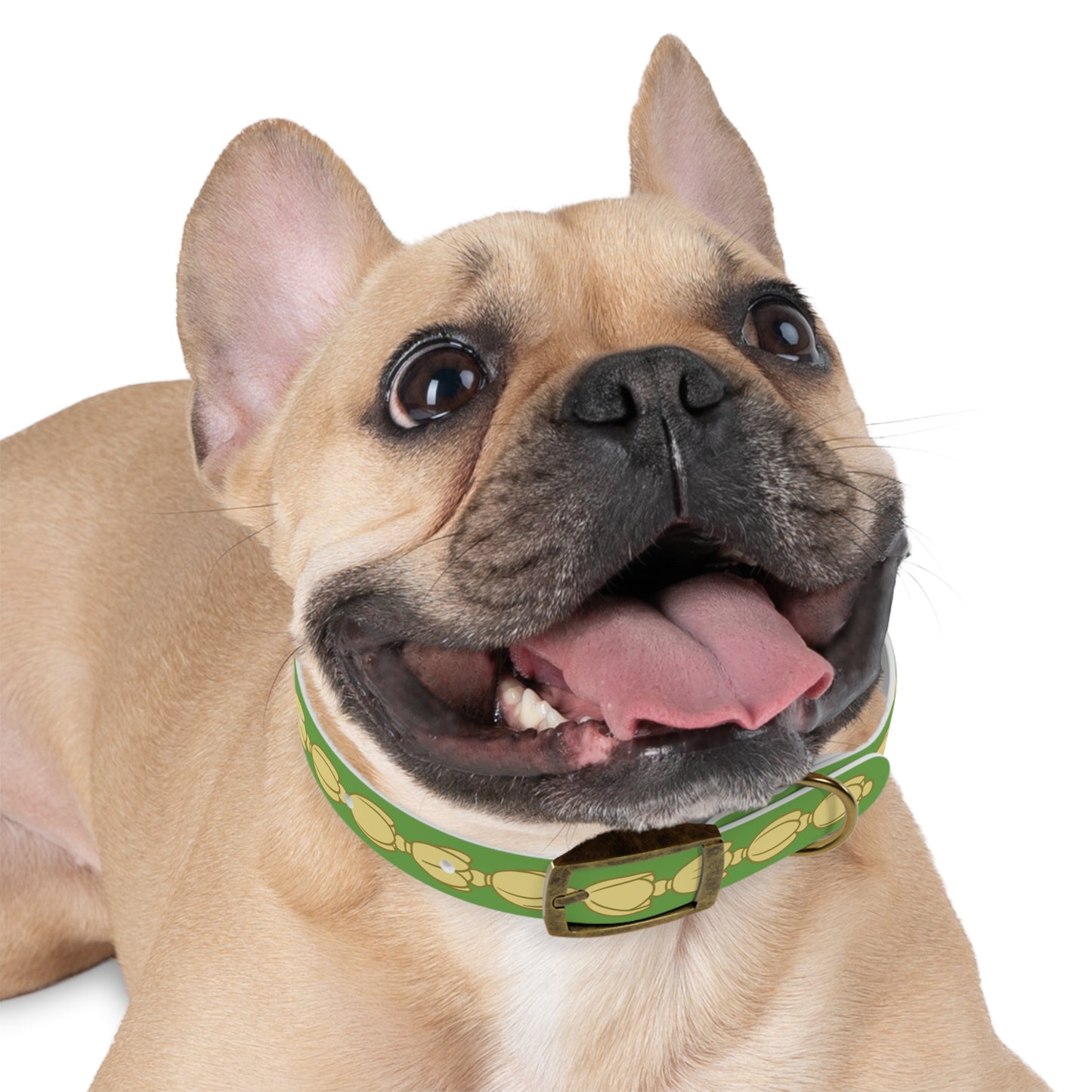 Pikake Lei - Dog Collar
