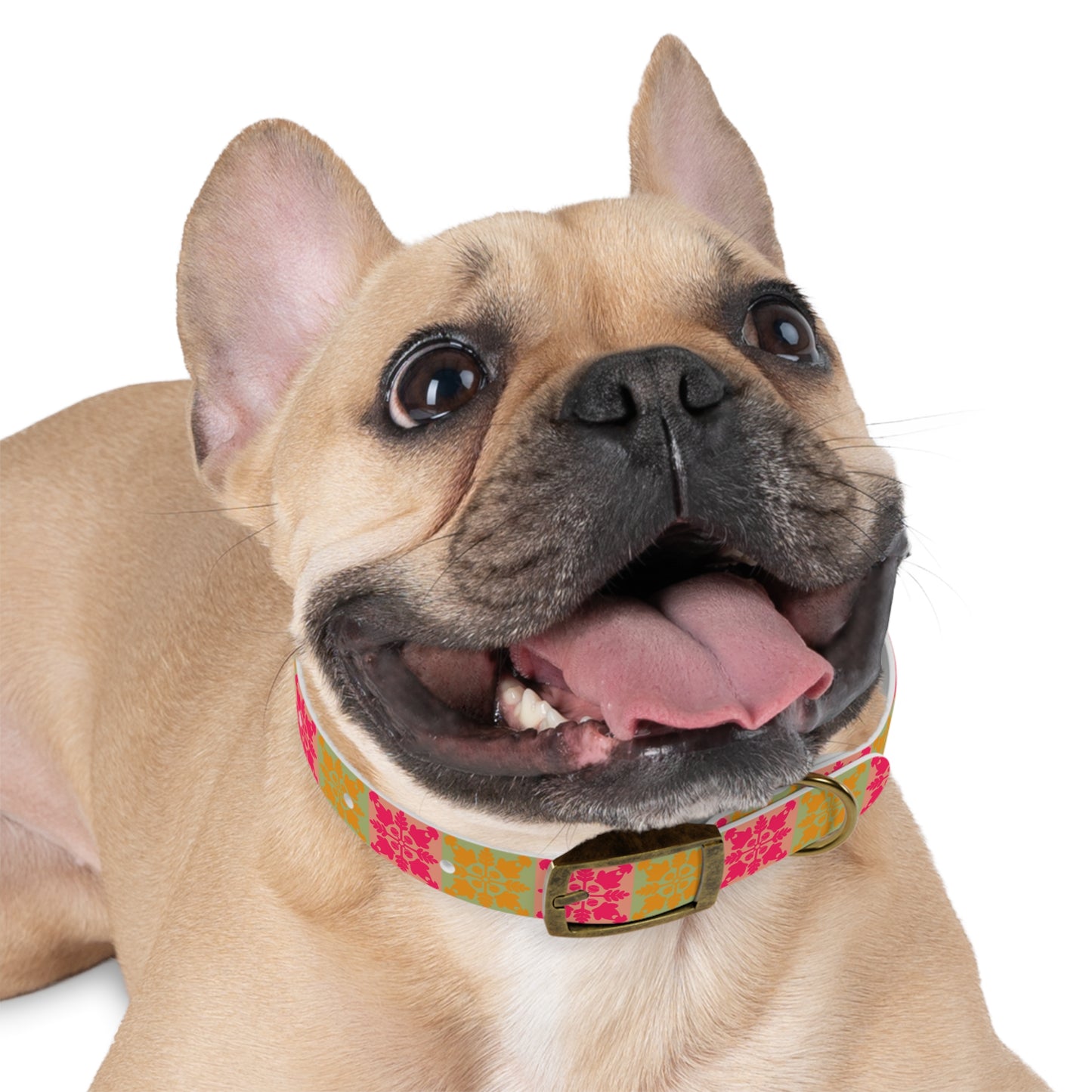 Heart and Fern Dog Collar – Modern Hawaiian Quilt Design