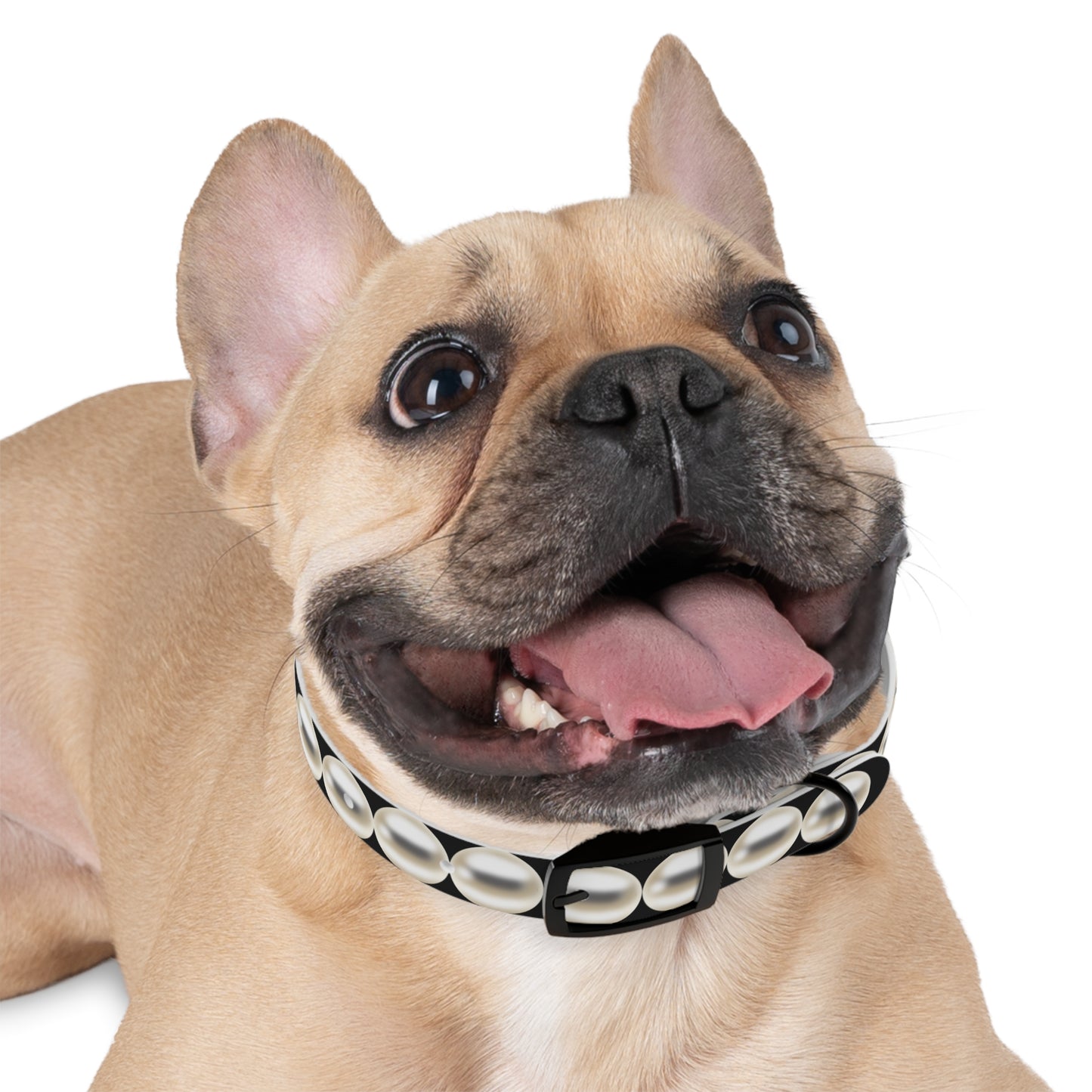 Pearl Necklace - Dog Collar
