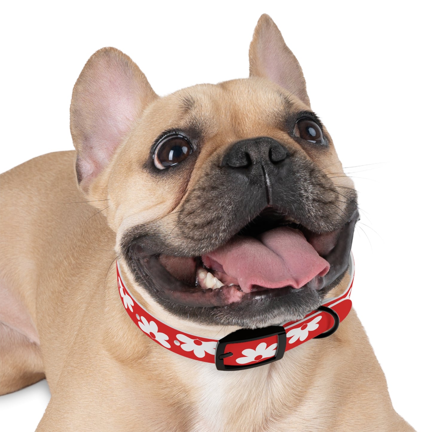 Naupaka Dog Collar - Red