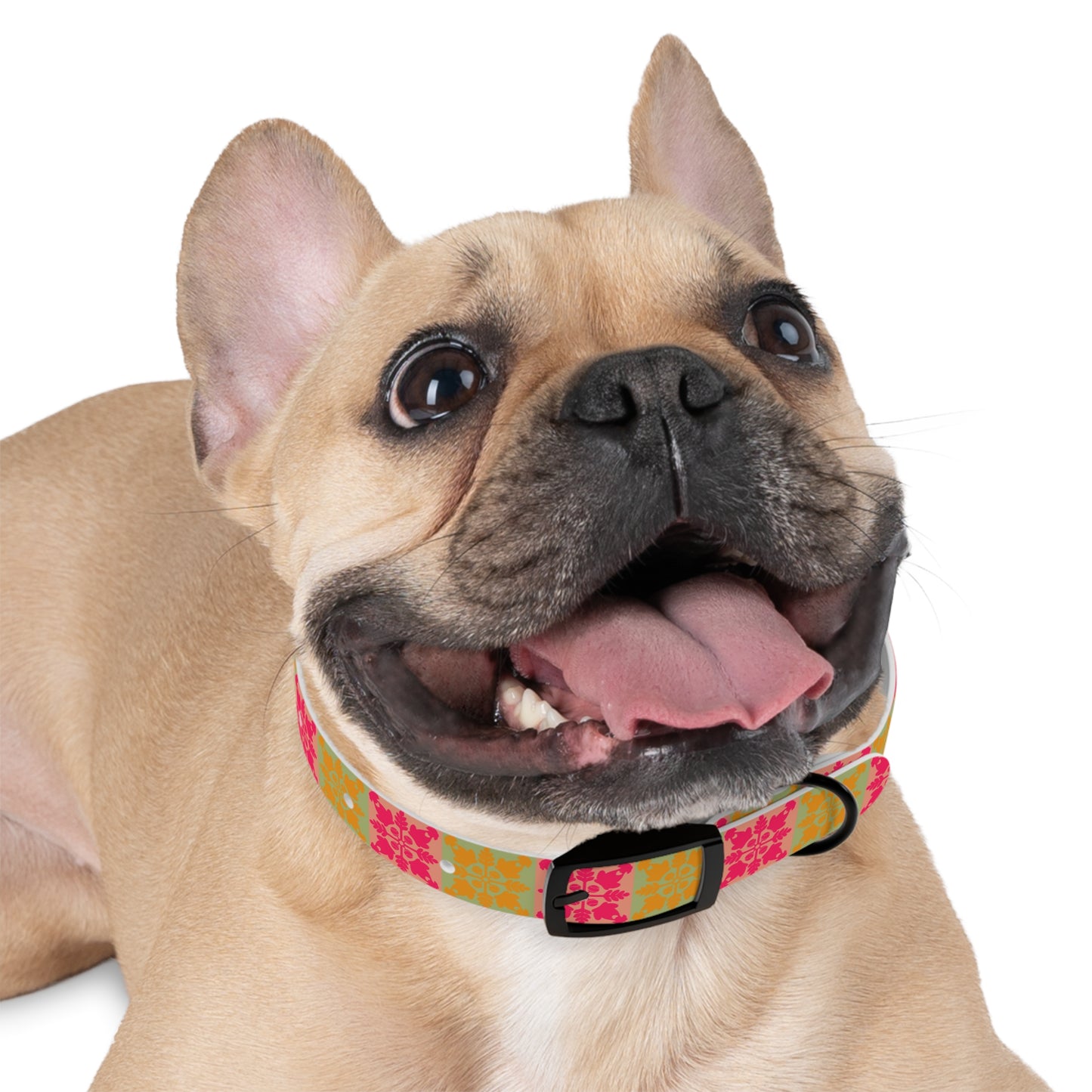 Heart and Fern Dog Collar – Modern Hawaiian Quilt Design