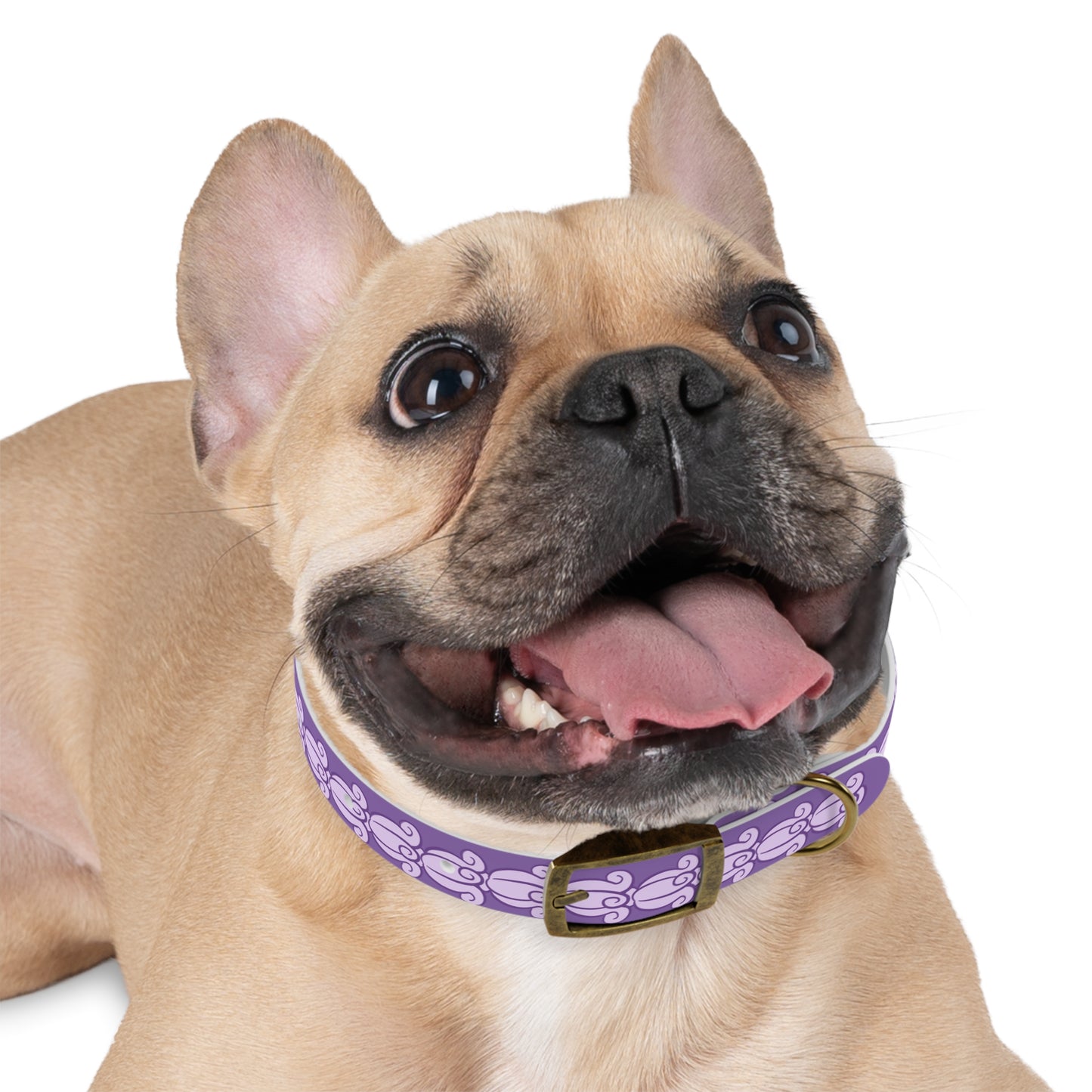 Crown Flower Lei - Dog Collar