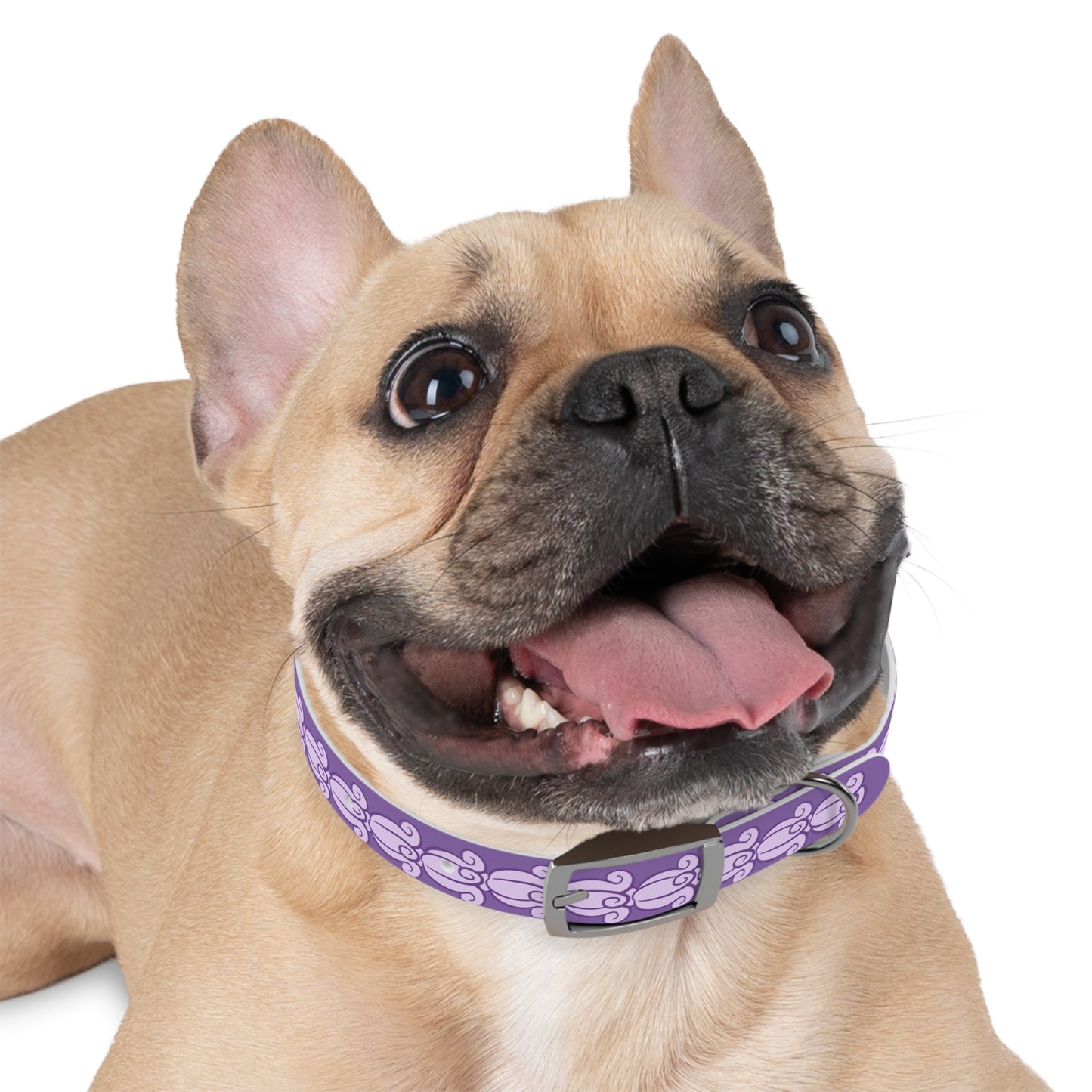 Crown Flower Lei - Dog Collar