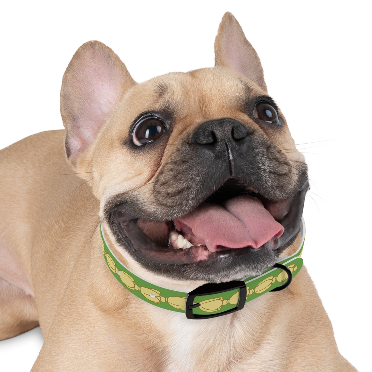 Pikake Lei - Dog Collar