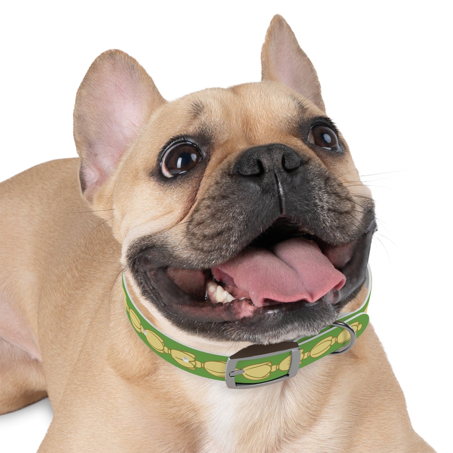 Pikake Lei - Dog Collar