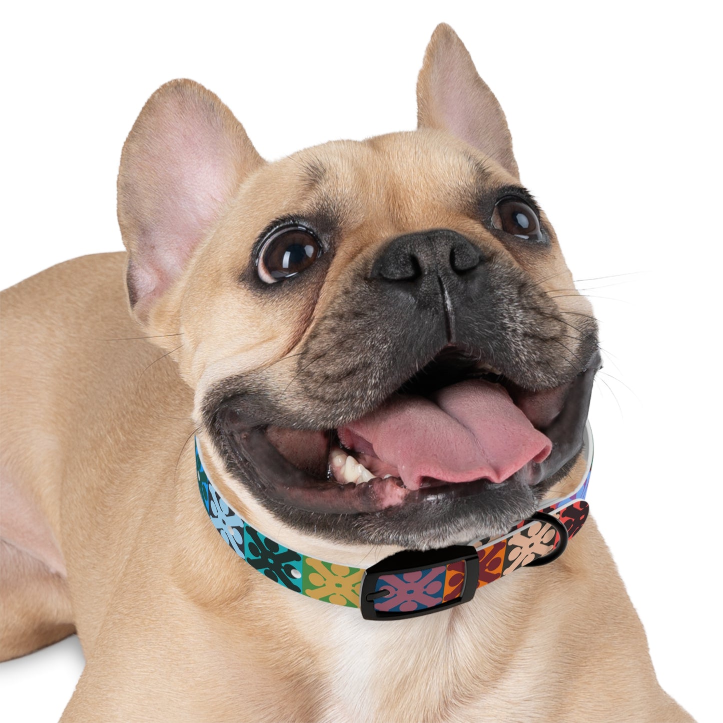 Hawaiian Quilt Inspired Dog Collar