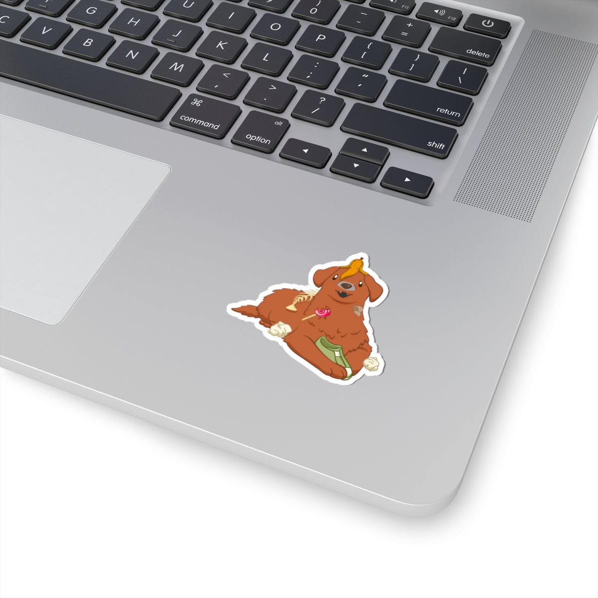 No Regrets – Trash Raider Senior Dog Sticker