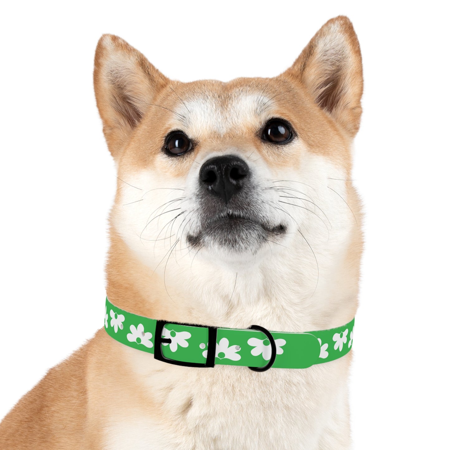 Naupaka Dog Collar - Green