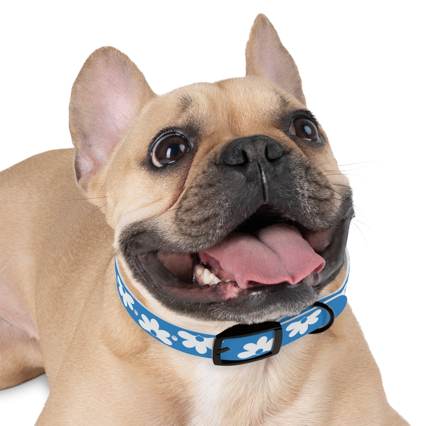 Naupaka Dog Collar - Blue